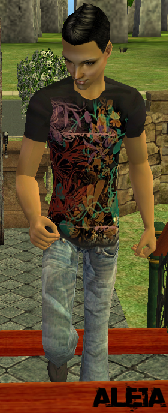 dwnimg