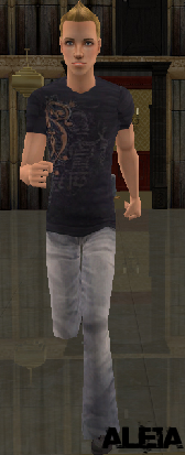 dwnimg