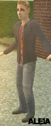 dwnimg