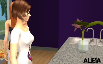 Model Expose exp